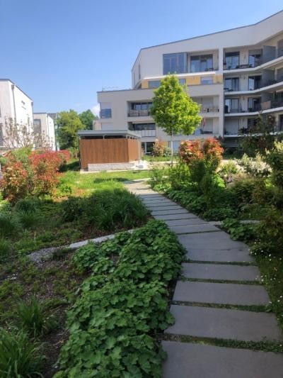 Ein Weg, bestehend aus quadratischen Steinplatten, führt durch einen begrünten Innenhof