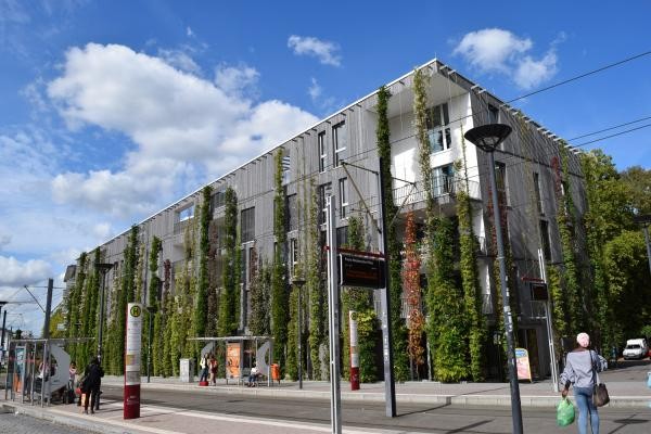 Rechteckiges Gebäude im Straßenraum mit hochrankenden grünen Pflanzen an der Fassade