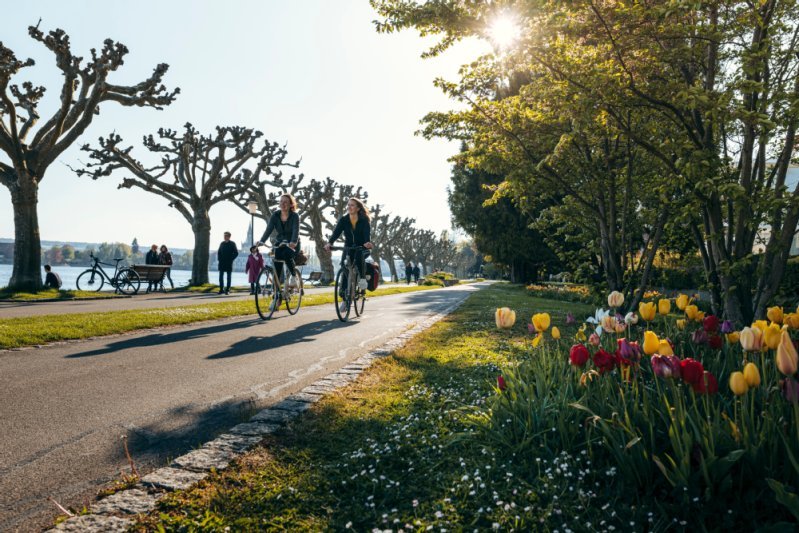 Radfahrer