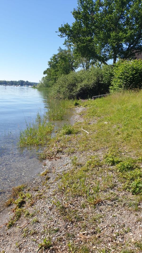 Ein Weg am Seeufer, links mit Wasser und Blick auf grüne Büsche.