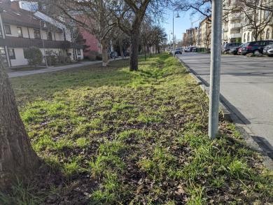 Gottlieber Straße Gottlieber Straße