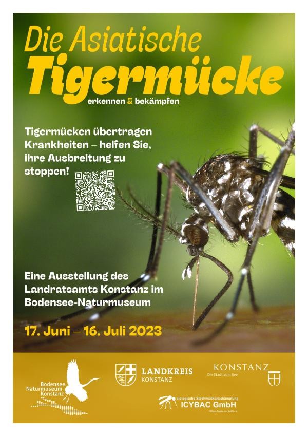 Die Asiatische Tigermücke - erkennen & bekämpfen