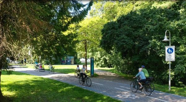 Radfahrende auf einem Radweg im Grünen